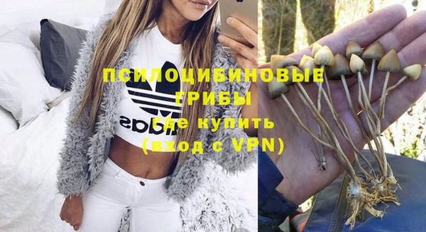 соль курить ск Арсеньев
