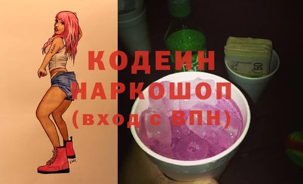 прущий лед Алзамай